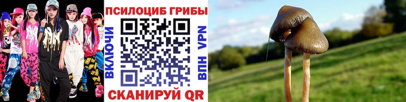 Галлюциногенные грибы прущие грибы  Горбатов 
